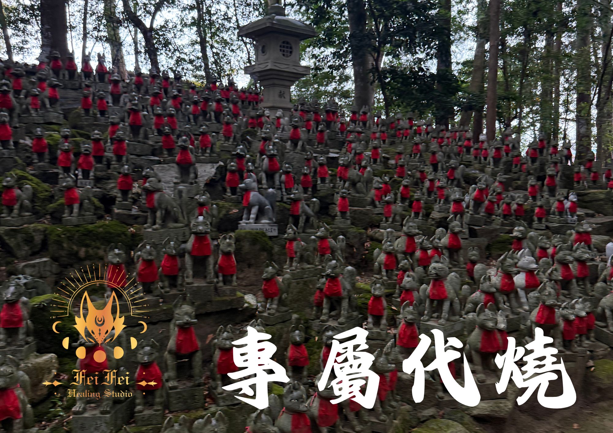 ✦☾⋆˚⊹⟡代燒限定⟡⊹˚⋆☽✦